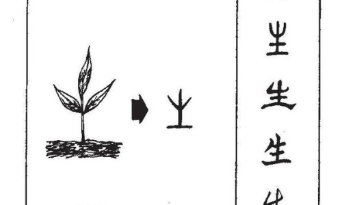 莴笋的做法大全家常炒菜-莴笋的吃法和做法大全网 - 莴笋的家常吃法,莴笋的家常吃法