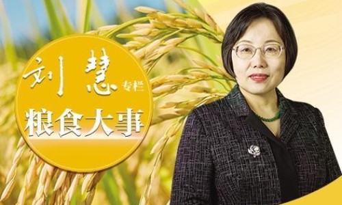 莴笋的做法简单又好吃-莴笋的吃法和做法大全网 - 莴笋的家常吃法,莴笋的家常吃法