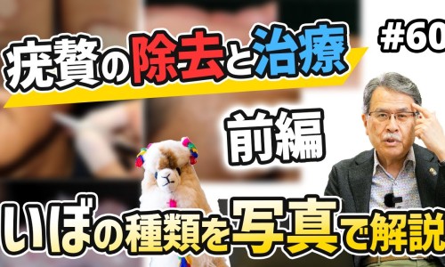 地瓜茎的功效与作用